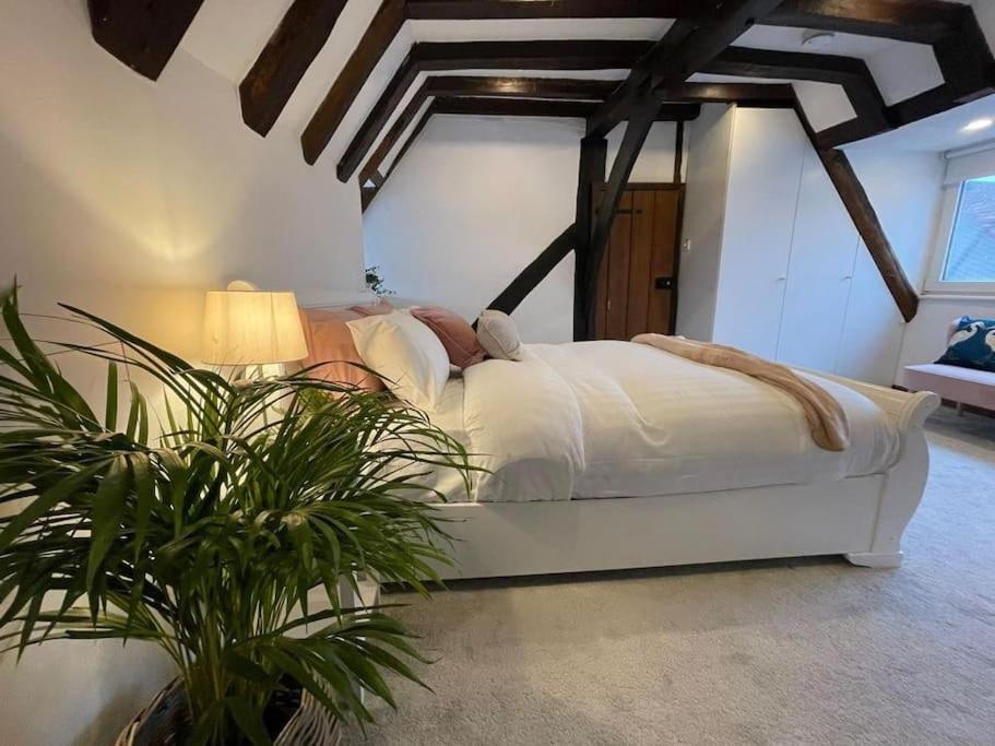 Rural Country Suites - Judge'S Lodge East Grinstead Extérieur photo